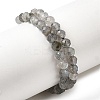 Natural Labradorite Beads Strands G-H336-A08-05-2