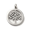 Non-Tarnish 304 Stainless Steel Pendants LS-STAS-M311-09P-1