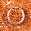 FGB 11/0 Grade A Baking Paint Glass Seed Beads X-SEED-S030-1028-3