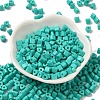 Baking Paint Glass Bead SEED-H002-K-D304-2