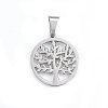 Non-Tarnish 304 Stainless Steel Pendants STAS-P209-14P-3