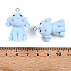 Opaque Resin Pendants RESI-N039-131-3