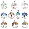 10Pcs 10 Style Mixed Gemstone Pendants G-PH0019-19-1