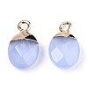 Faceted Glass Charms GLAA-N040-007B-3