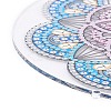 DIY Diamond Painting Hanging Woven Net/Web with Feather Pendant Kits DIY-I084-13-6