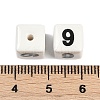 Handmade Porcelain Beads X1-PORC-R003-07-09-3