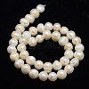 Natural Cultured Freshwater Pearl Beads Strands PEAR-L001-H-14-01-3