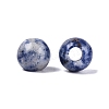 Natural Blue Spot Jasper European Beads G-Q607-02L-2