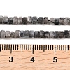 Natural Larvikite Beads Strands G-G345-C05-2x4mm-5