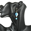 304 Stainless Steel with Glass Cylinder Seed Beads Hot Air Balloon Dangle Earrings EJEW-MZ00820-7