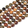 Natural Picasso Jasper/Polychrome Jasper Beads Strands G-C116-A118-01-5