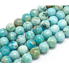 Natural Gemstone Hemimorphite Round Beads Strands G-L145-14mm-01-1