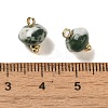 Natural Tree Agate Rondelle Charms with Rack Plating Brass Loops G-G110-05B-12-3