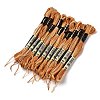 10 Skeins 6-Ply Polyester Embroidery Floss OCOR-K006-A64-1