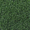 MIYUKI Round Rocailles Beads SEED-G007-RR0158F-2