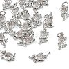 SHEGRACE Brass Micro Pave Clear Cubic Zirconia Charms XGRQ4N295-706P-1