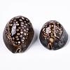 Natural Cowrie Shell Beads SSHEL-Q298-19-2