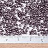 MIYUKI Round Rocailles Beads X-SEED-G007-RR1088-4