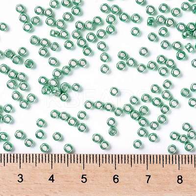 TOHO Round Seed Beads SEED-JPTR08-0561-1