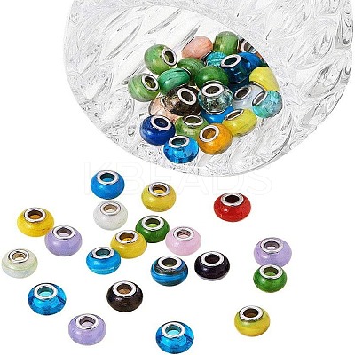 Mixed Styles Handmade Lampwork Glass European Beads LPDL-PH0001-03-WH-1
