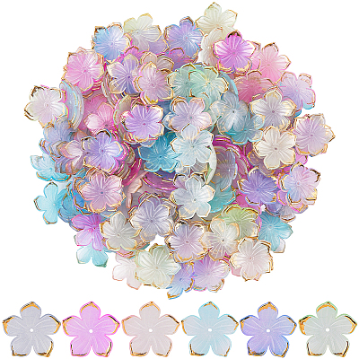 240Pcs 6 Colors Transparent Acrylic Bead Caps TACR-SC0001-44-1