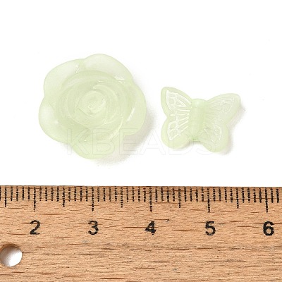 Frosted Transparent Acrylic Beads OACR-U006-03E-1