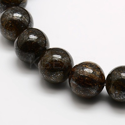 Round Natural Bronzite Beads Strands G-P059B-01-1