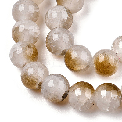 Crackle Baking Paint Imitation Jade Glass Beads Strands DGLA-T003-10mm-09-1