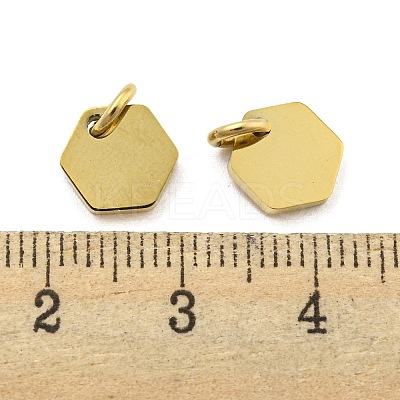 304 Stainless Steel Charms STAS-P356-01G-1