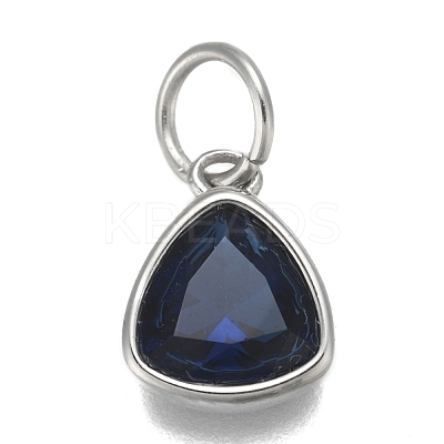 304 Stainless Steel Cubic Zirconia Pendant ZIRC-P080-B11-1