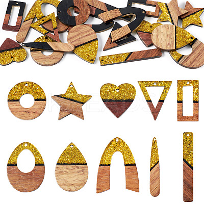 20Pcs 10 Styles Opaque Resin & Walnut Wood Pendants RESI-TA0003-37-1