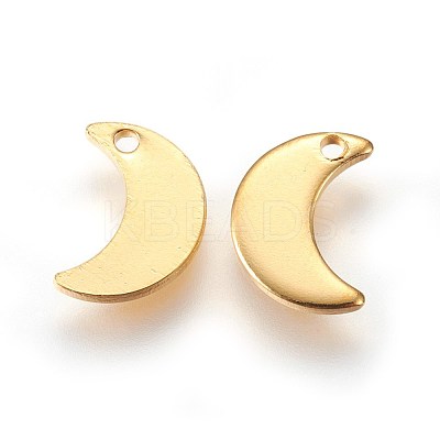 304 Stainless Steel Charms STAS-E447-08G-1