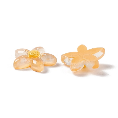 Translucent & Opaque Resin Cabochons RESI-G041-A01-1