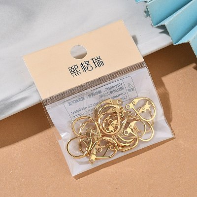 SHEGRACE Brass Leverback Earring Findings XGR0071G-48G-1