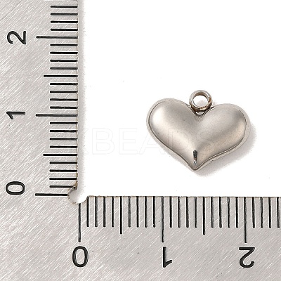 304 Stainless Steel Charms STAS-S131-12P-1
