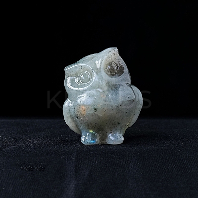 Natural Labradorite Carved Healing Owl Figurines PW-WG13335-03-1