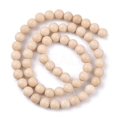 Natural Fossil Beads Strands X-G-E110-6mm-2-1