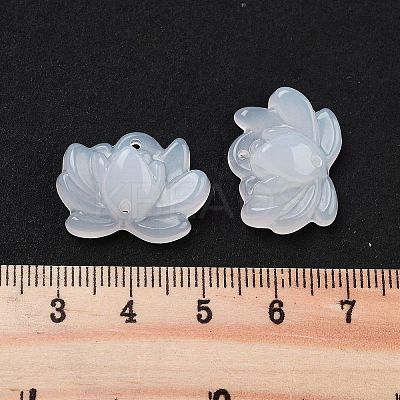 Acrylic Beads OACR-U001-05A-1