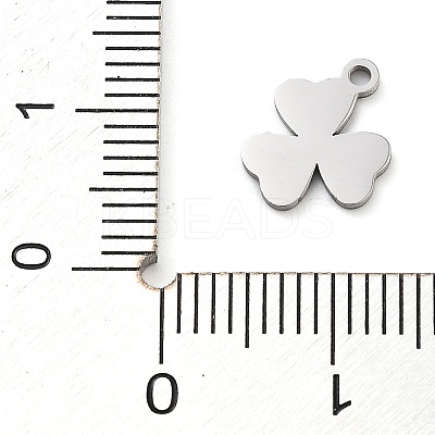 Anti-Tarnish 304 Stainless Steel Charms LS-STAS-M076-10P-1