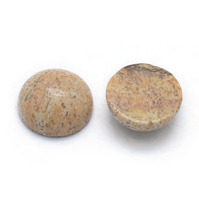 Natural Picture Jasper Cabochons G-P393-R51-12MM-1