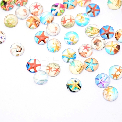 Glass Cabochons GLAA-WH0022-50B-1