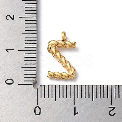 316 Surgical Stainless Steel Pendants & Charms LS-STAS-D031-01Z-1