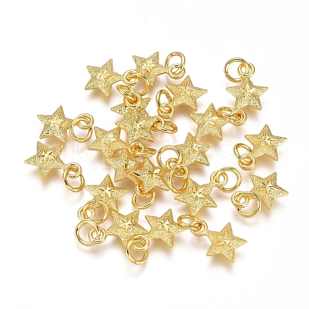 Electroplated Alloy Charms PALLOY-G267-09G-1