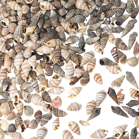 150G 5 Styles Natural Mixed Shell Beads SSHEL-SC0001-50-1