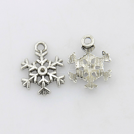 Tibetan Style Alloy Charms QA-400Y-1