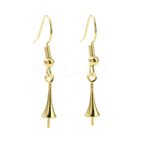 Rack Plating Brass Earring Hooks KK-F839-026G-1