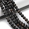 Dyed Natural Regalite/Imperial Jasper/Sea Sediment Jasper Beads Strands G-B124-C01-3