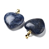 Natural Sodalite Pendants G-G956-B19-G-2