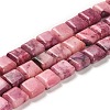 Natural Dolomite Beads Strands G-F765-C01-01-1