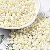 Baking Paint Luster Glass Seed Beads X-SEED-B001-04A-11-1